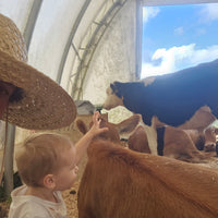 Cow Sanctuary Donation $20