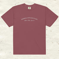 Heavyweight Embroidered T- Shirt - multiple colors available