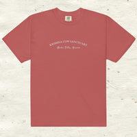 Heavyweight Embroidered T- Shirt - multiple colors available