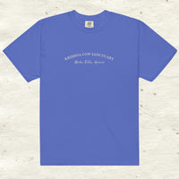 Heavyweight Embroidered T- Shirt - multiple colors available