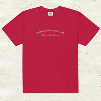 Heavyweight Embroidered T- Shirt - multiple colors available