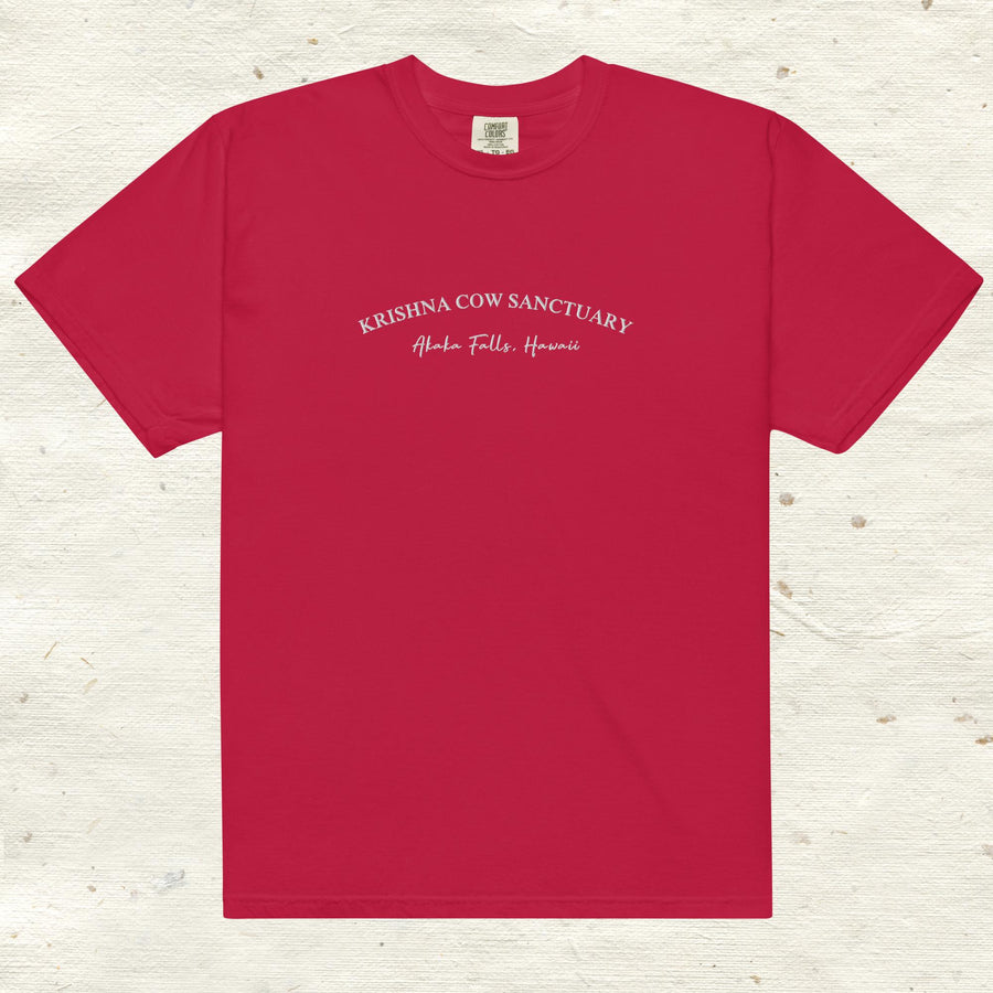 Heavyweight Embroidered T- Shirt - multiple colors available