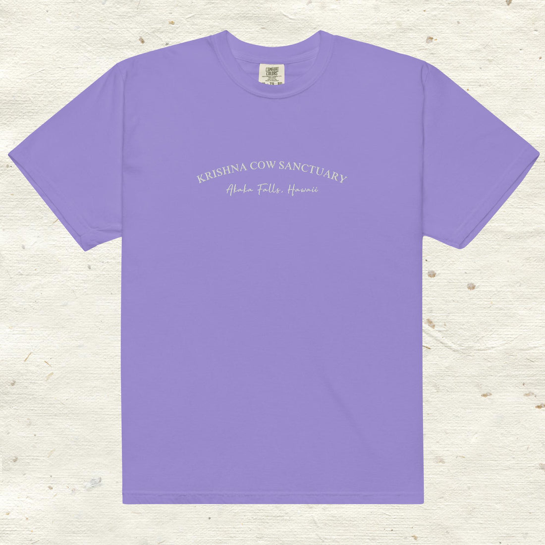Heavyweight Embroidered T- Shirt - multiple colors available