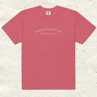 Heavyweight Embroidered T- Shirt - multiple colors available